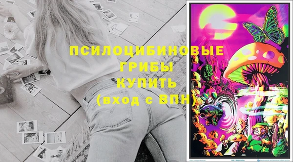 ECSTASY Дмитров