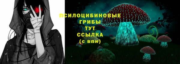 ECSTASY Дмитров