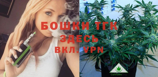 ECSTASY Дмитров