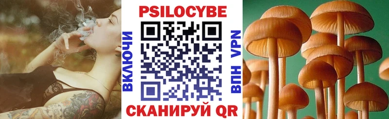 Галлюциногенные грибы мицелий  Купить  Могоча 